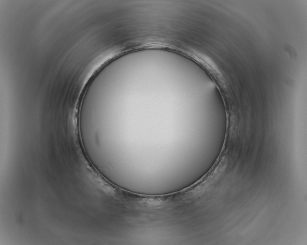 X0000113141190200909181723