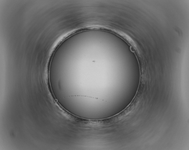 X0000113141191200909181723