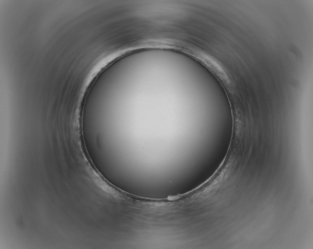 X0000113141192200909181723