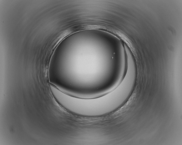 X0000113141193200909181723