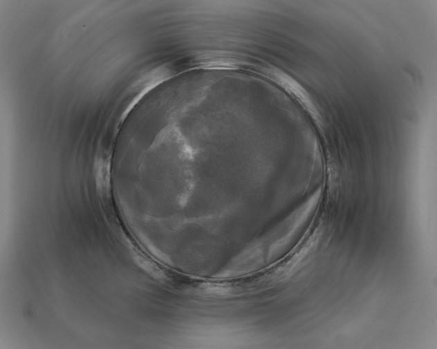 X0000113141194200909181723