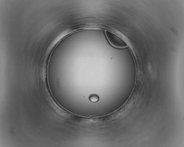 X0000113141195200909181723