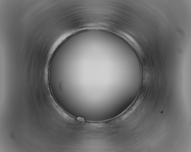 X0000113141196200909181723