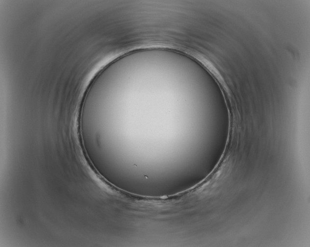 X0000113141197200909181723