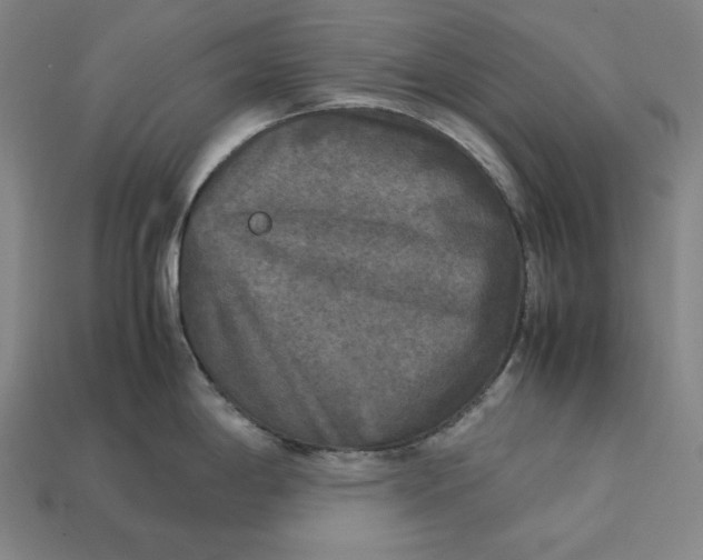 X0000113141198200909181723