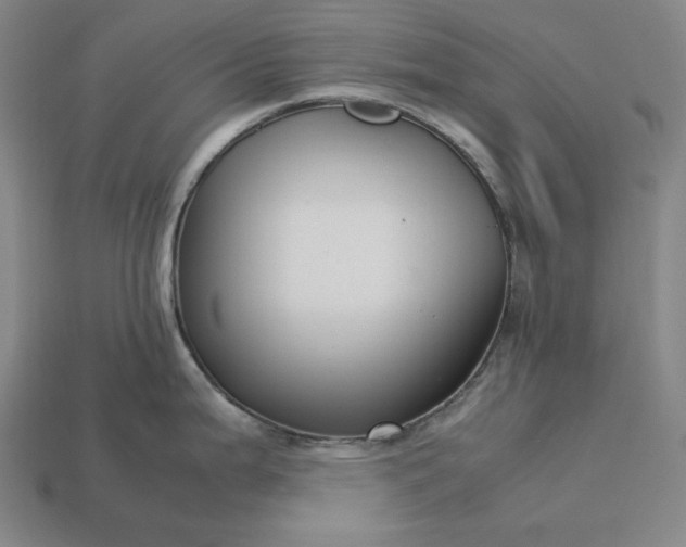 X0000113141199200909181723