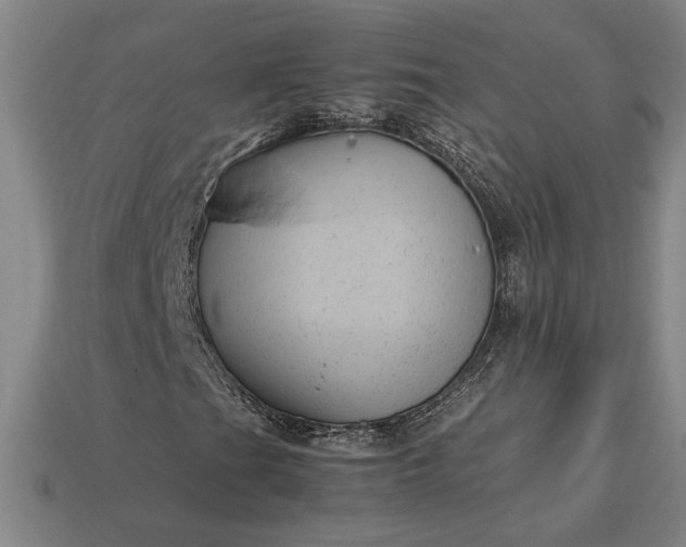 X0000113141201200909181722