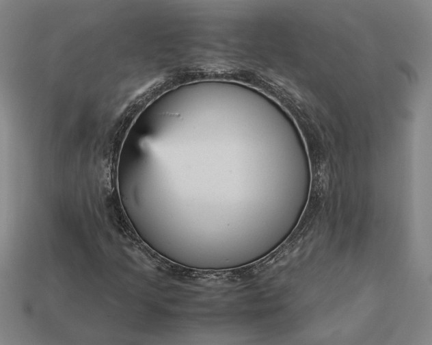 X0000113141205200909181722