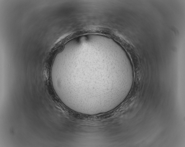 X0000113141206200909181722