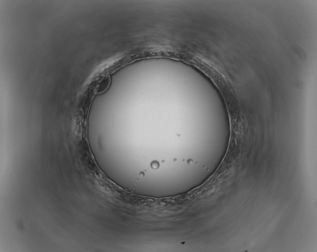 X0000113141207200909181722