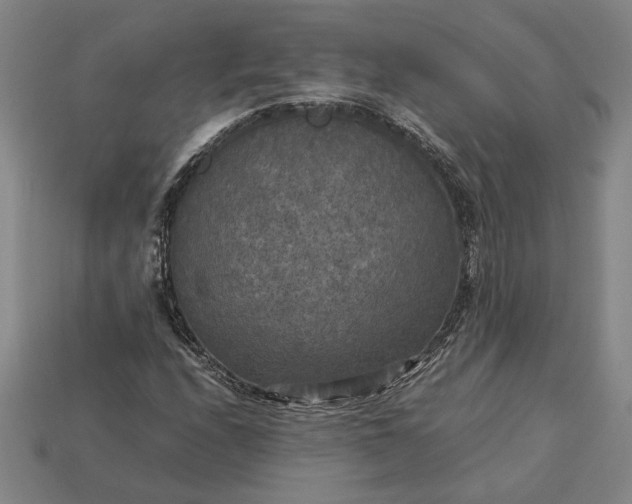 X0000113141208200909181722