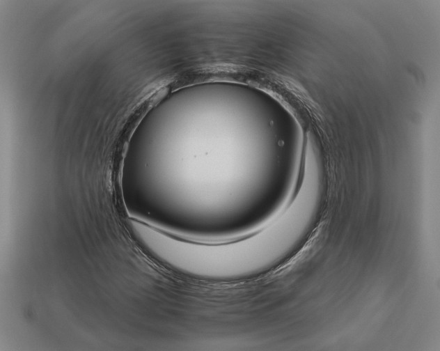 X0000113141209200909181722