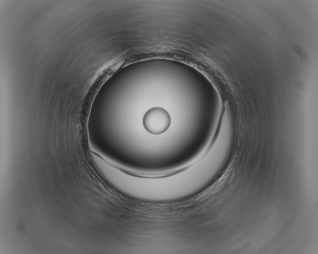 X0000113141210200909181722