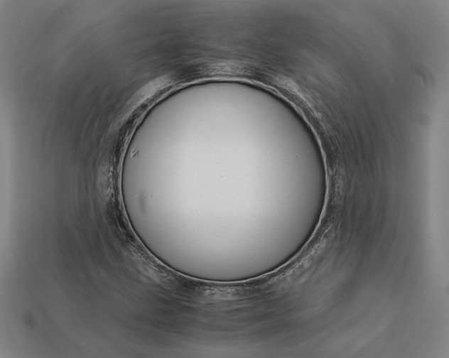 X0000113141211200909181722