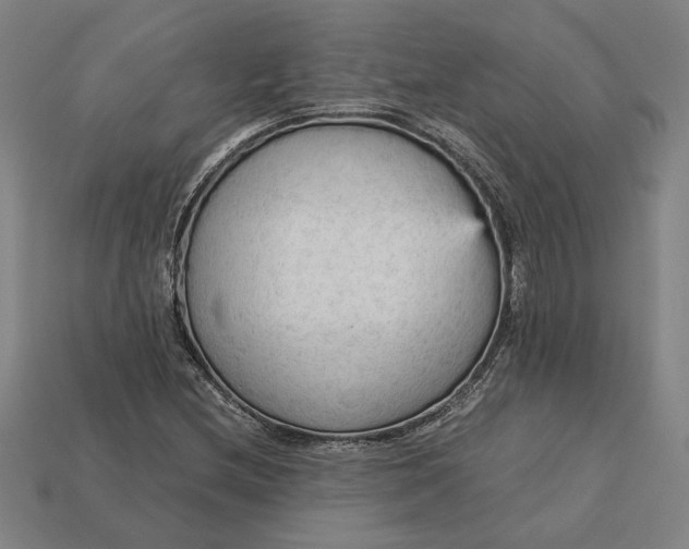 X0000113141212200909181722