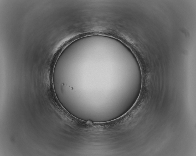 X0000113141214200909181722