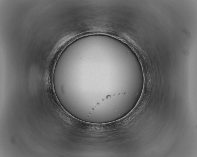 X0000113141215200909181722