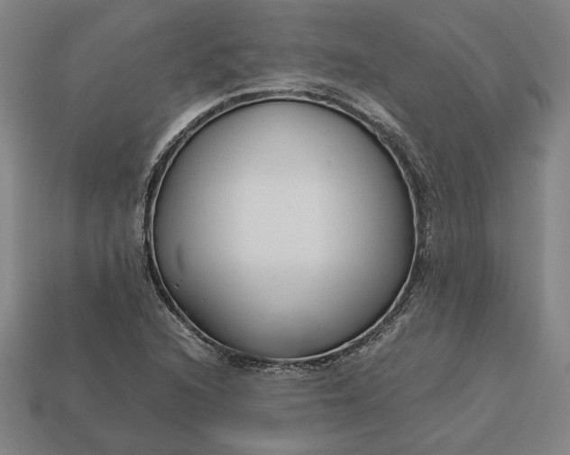 X0000113141216200909181722