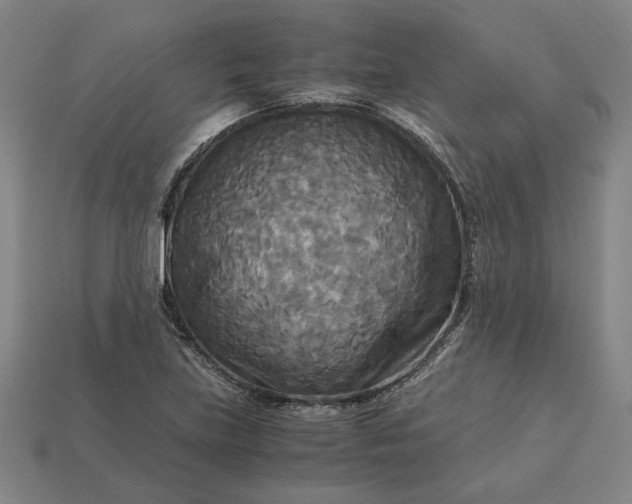 X0000113141219200909181722