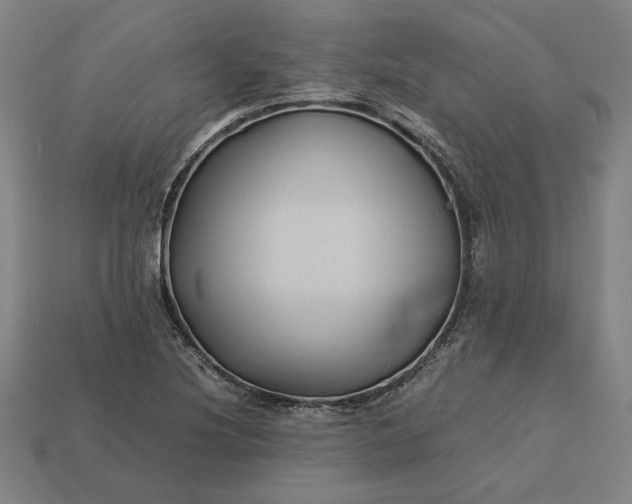 X0000113141220200909181722