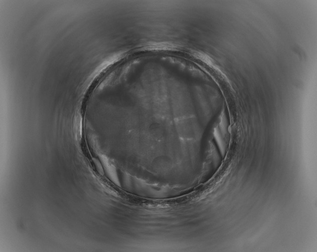 X0000113141221200909181722