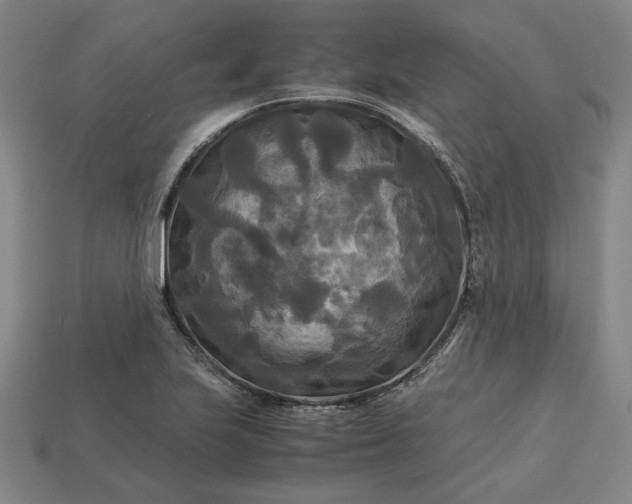 X0000113141223200909181722