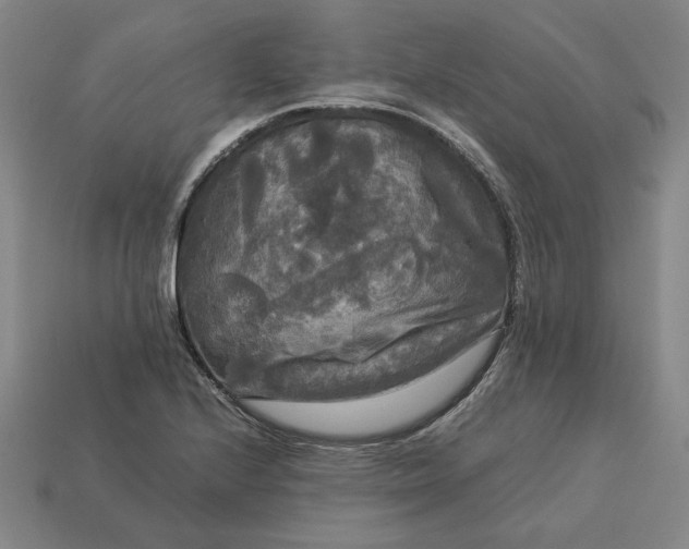 X0000113141224200909181722