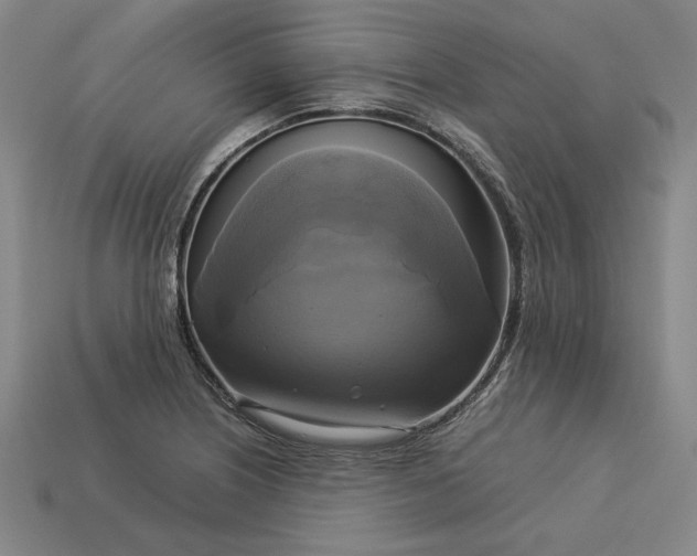 X0000113141226200909181722