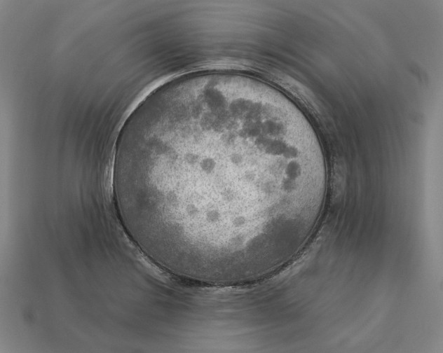 X0000113141228200909181723