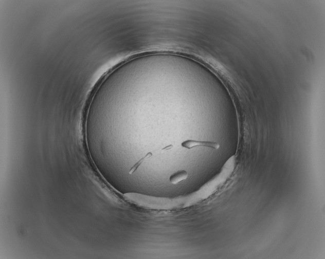 X0000113141230200909181723