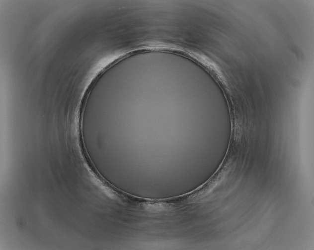 X0000113141231200909181723