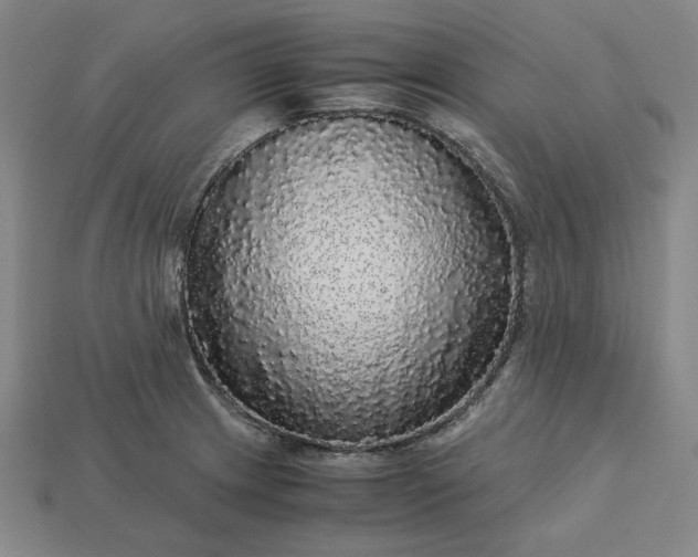 X0000113141233200909181723