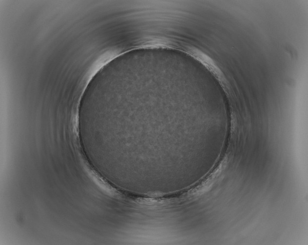 X0000113141234200909181723