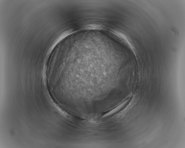 X0000113141235200909181723