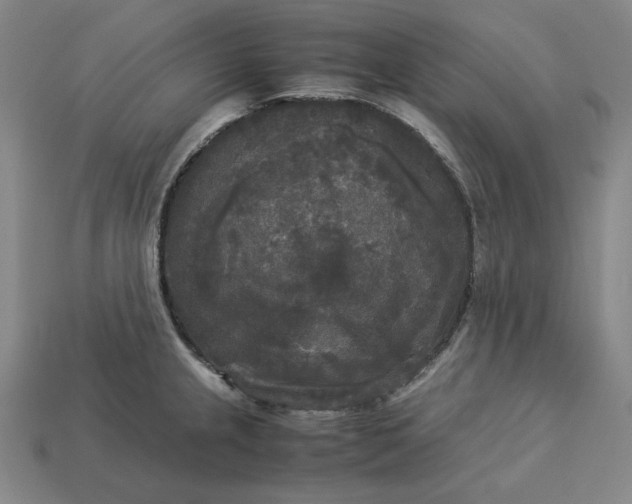 X0000113141237200909181723