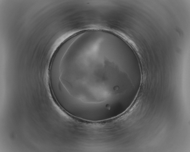 X0000113141239200909181723