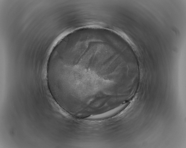 X0000113141240200909181723