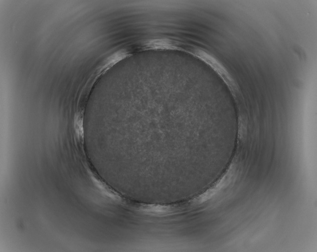 X0000113141241200909181723