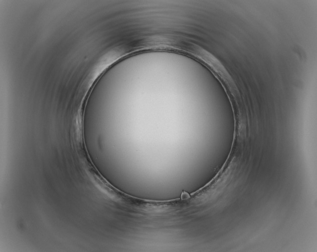 X0000113141242200909181723