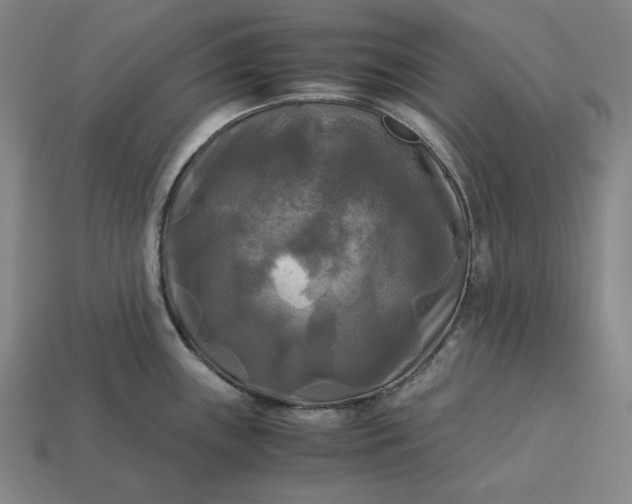 X0000113141243200909181723