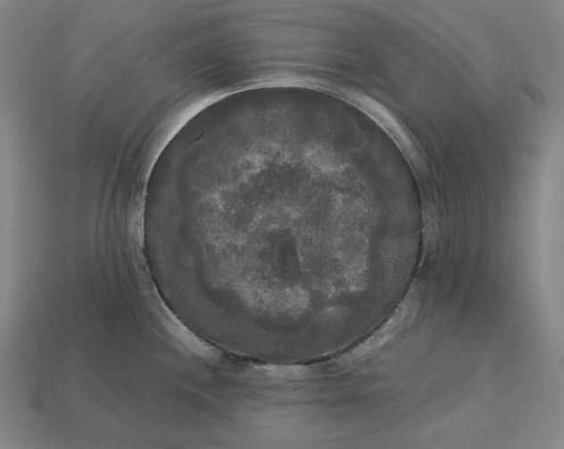 X0000113141244200909181723