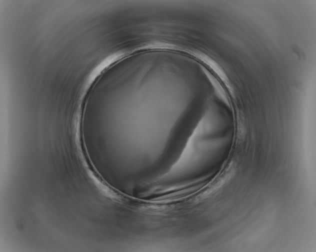 X0000113141245200909181723