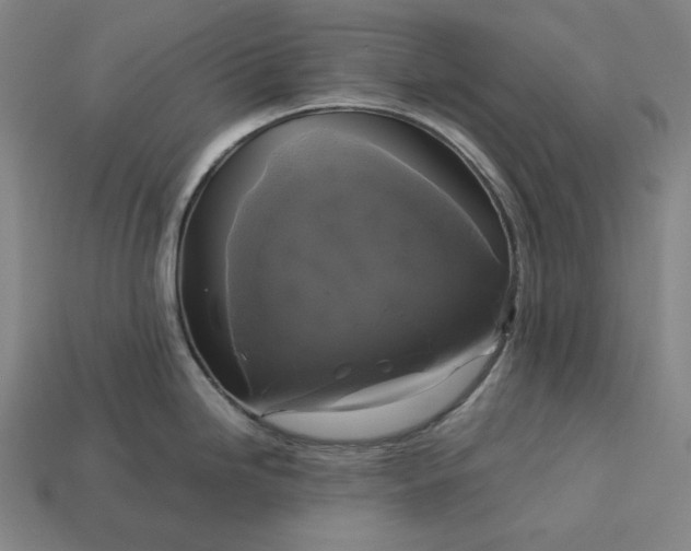 X0000113141246200909181723