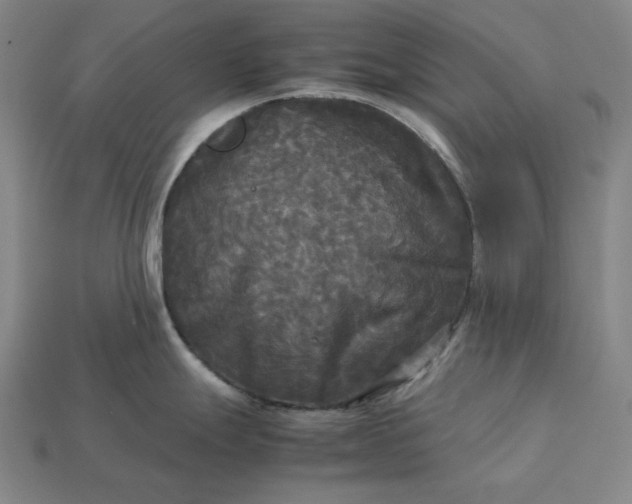 X0000113141247200909181723