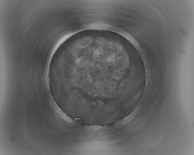 X0000113141248200909181723