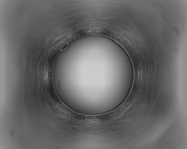 X0000113141250200909181722