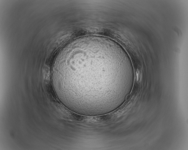 X0000113141251200909181722