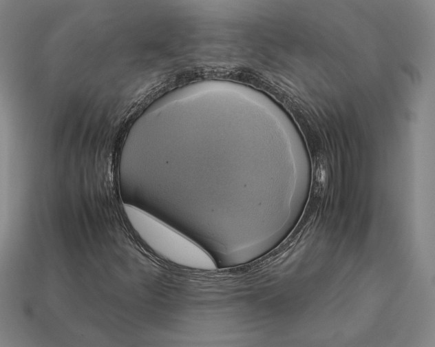 X0000113141252200909181722