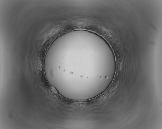 X0000113141253200909181722