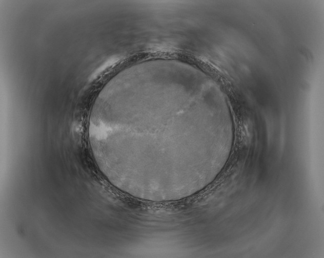 X0000113141254200909181722